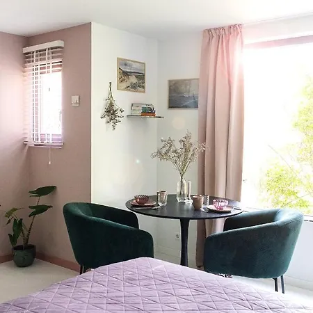 Bed & Bakkie Het Lamsoor Texel Guest house 't Horntje