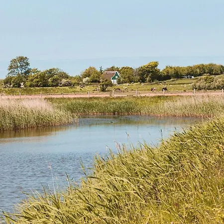 Bed & Bakkie Het Lamsoor Texel