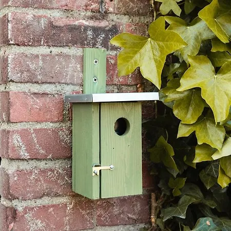 Bed & Bakkie Het Lamsoor Texel 게스트하우스 't Horntje